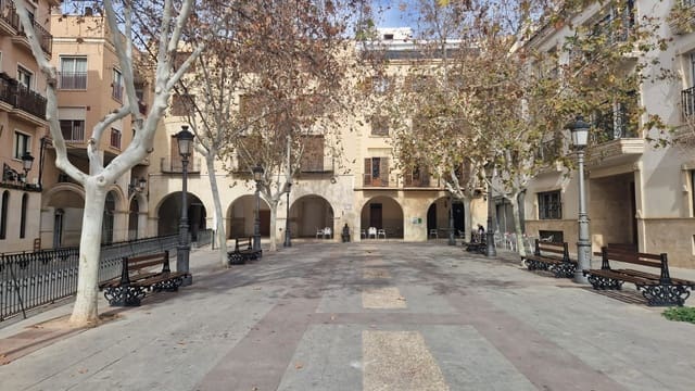 Terrain à Bâtir à vendre à Elche / Elx - 309 995 € (Ref: 8120405)