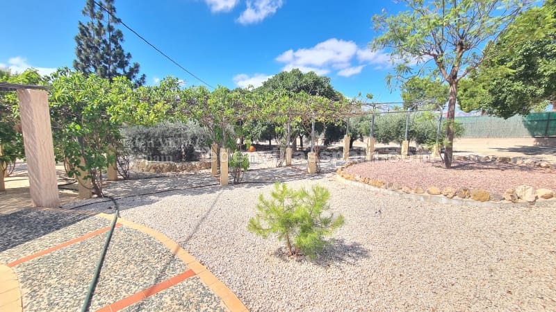 5 Zimmer Finca/Landgut zu verkaufen in Crevillente / Crevillent mit Pool - 444.800 € (Ref: 8472687)