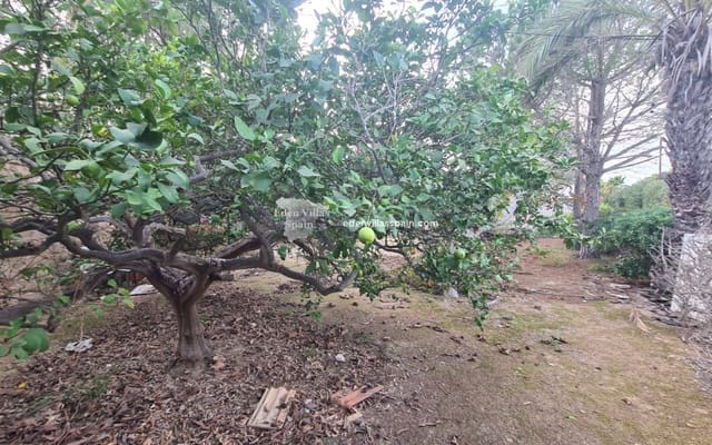 3 sypialnia Finka/Dom wiejski na sprzedaż w Santa Pola - 189 950 € (Ref: 8666798)