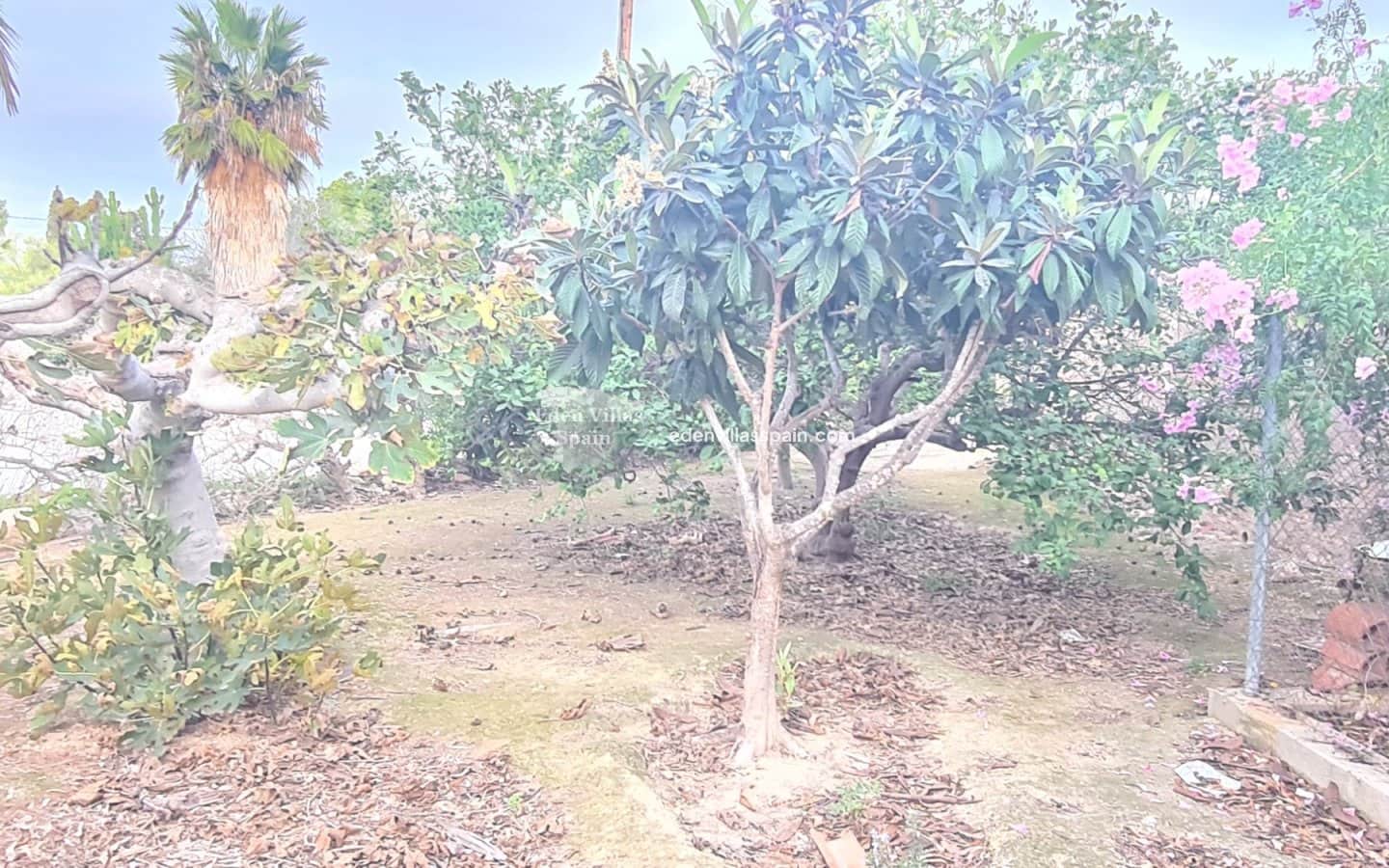 3 slaapkamer Finca/Landhuis te koop in Santa Pola - € 189.950 (Ref: 8666798)