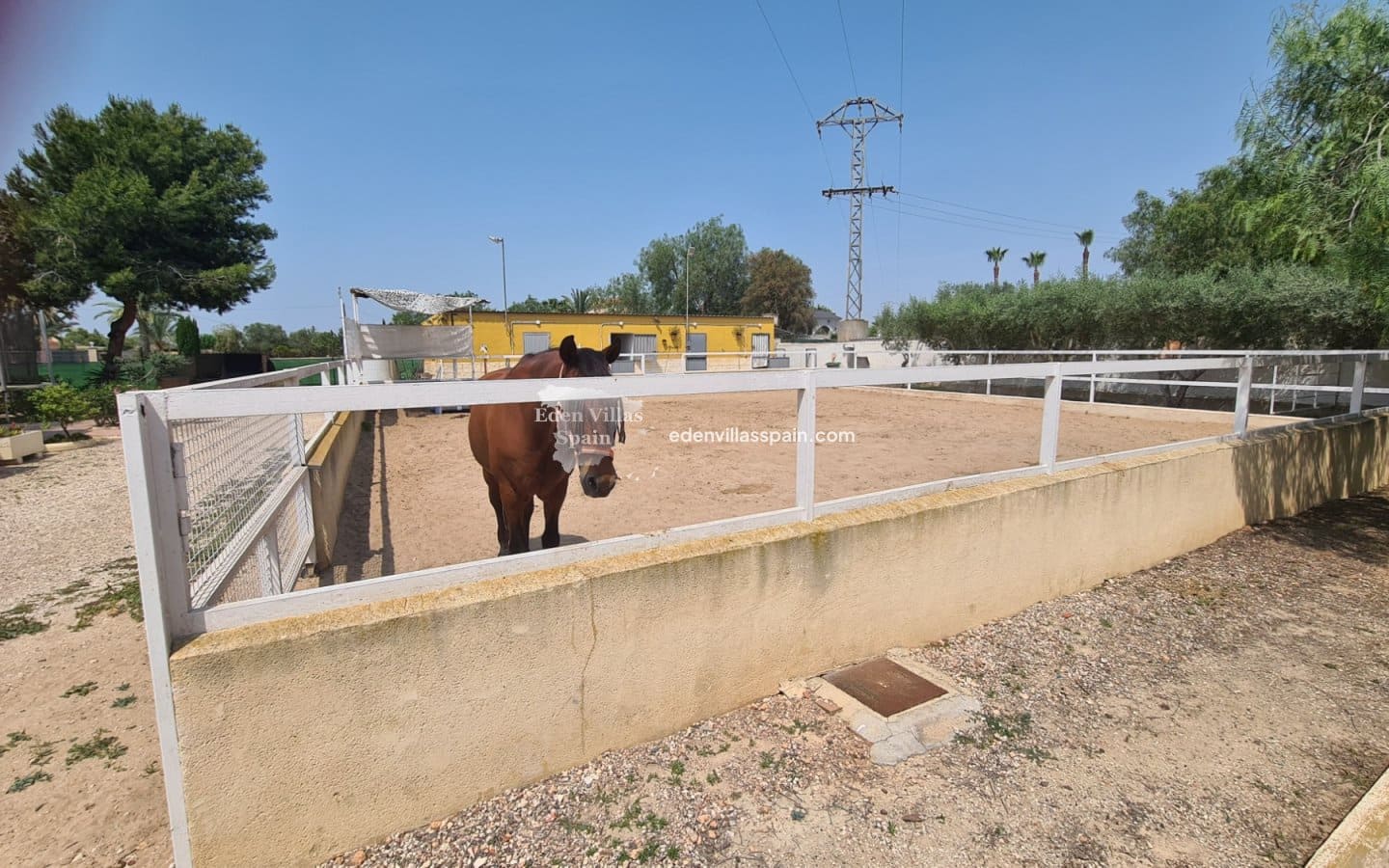 4 soveværelse Finca/Landehus til salg i La Marina - € 459.950 (Ref: 9037035)