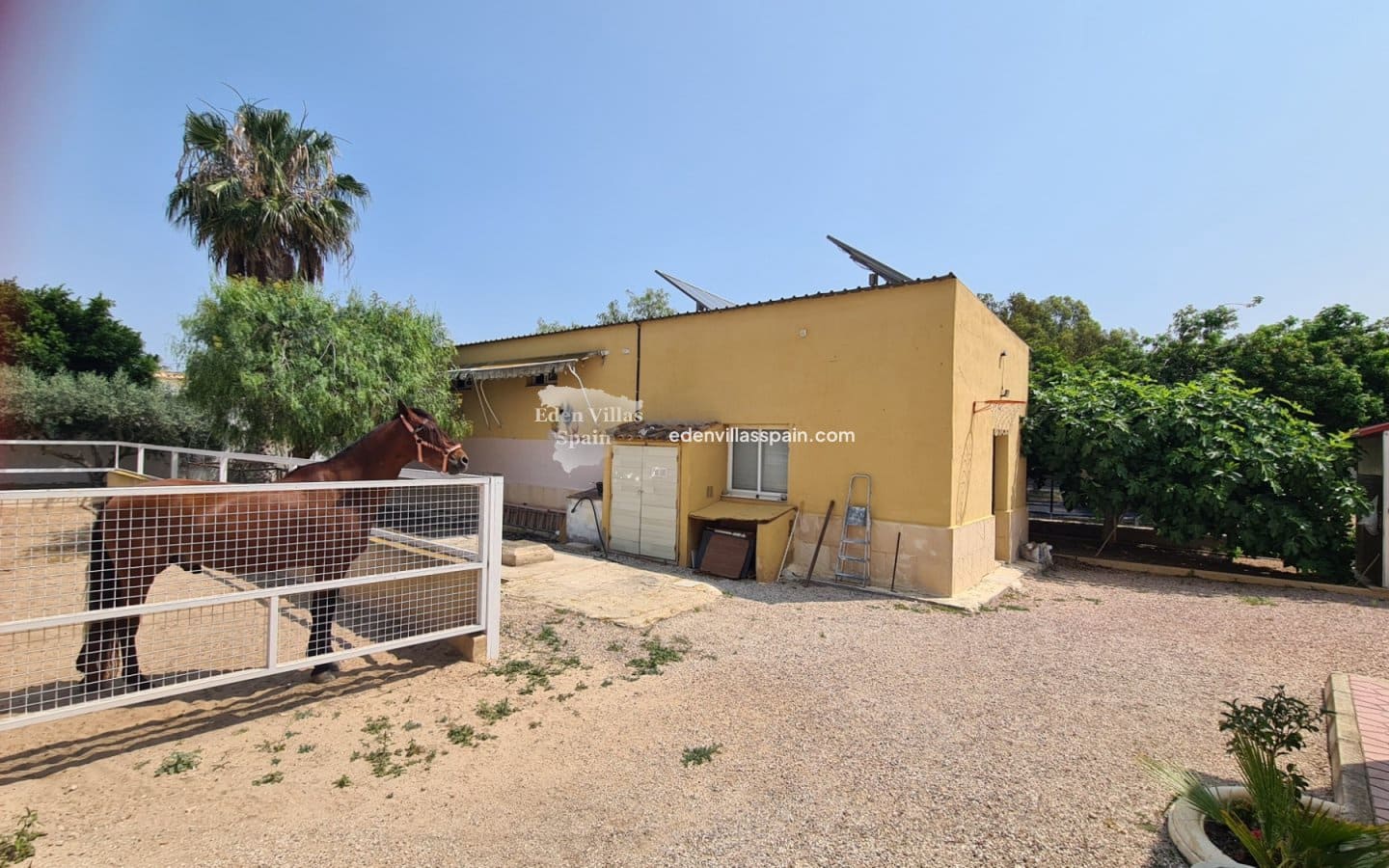 4 soveværelse Finca/Landehus til salg i Elche / Elx - € 459.950 (Ref: 9037041)