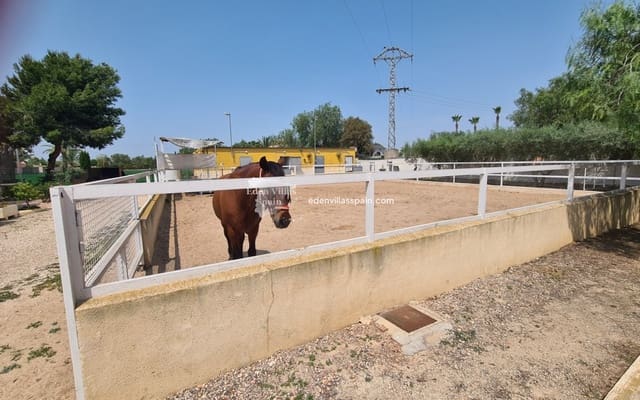 4 slaapkamer Finca/Landhuis te koop in Elche / Elx - € 459.950 (Ref: 9037041)