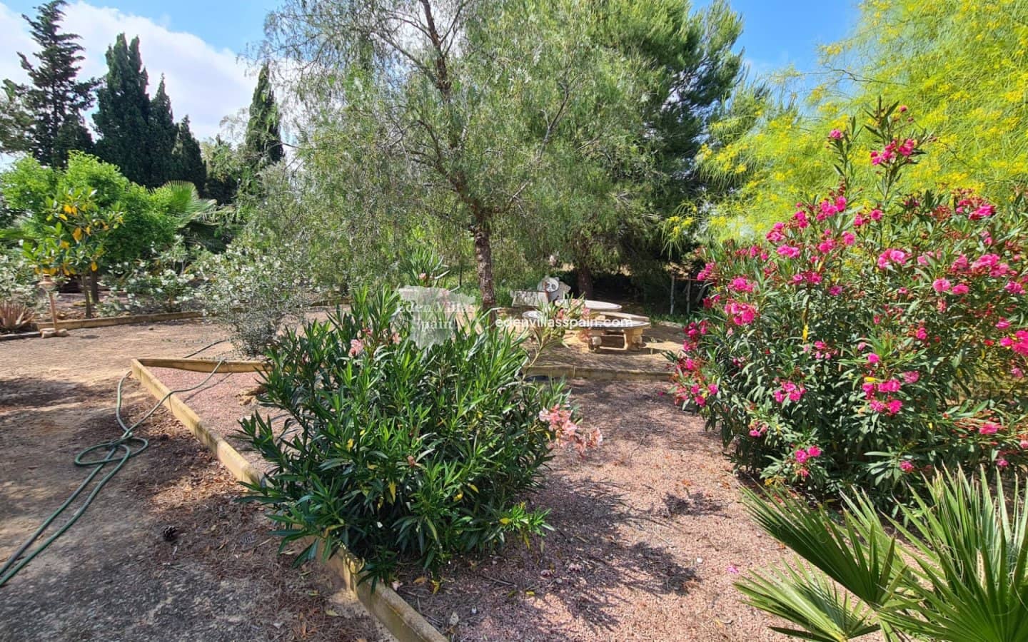 12 sypialnia Finka/Dom wiejski na sprzedaż w Elche / Elx z basenem - 995 000 € (Ref: 9049614)