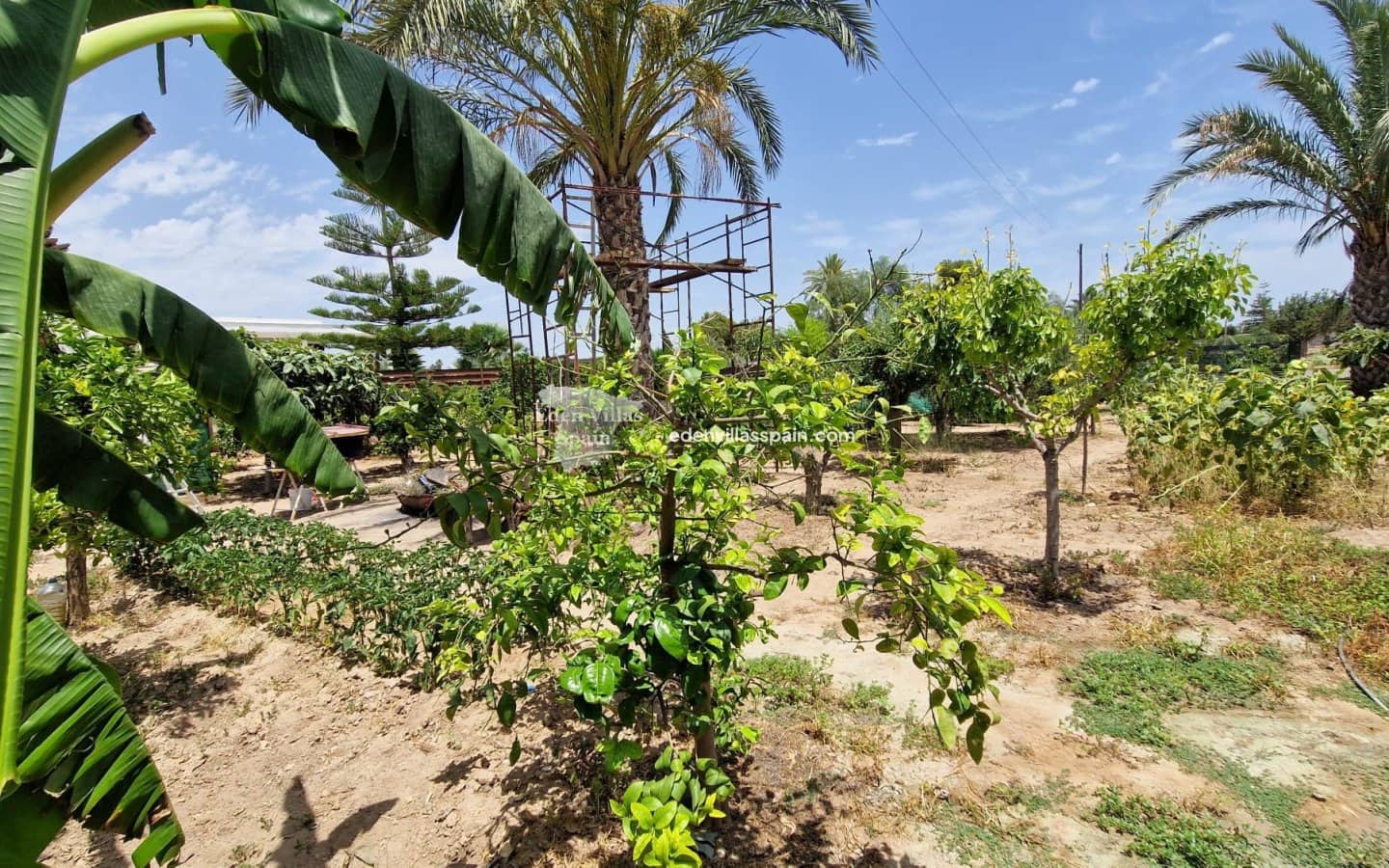 4 soverom Finca/Herregård til salgs i Alicante by med svømmebasseng - € 450 000 (Ref: 9096246)
