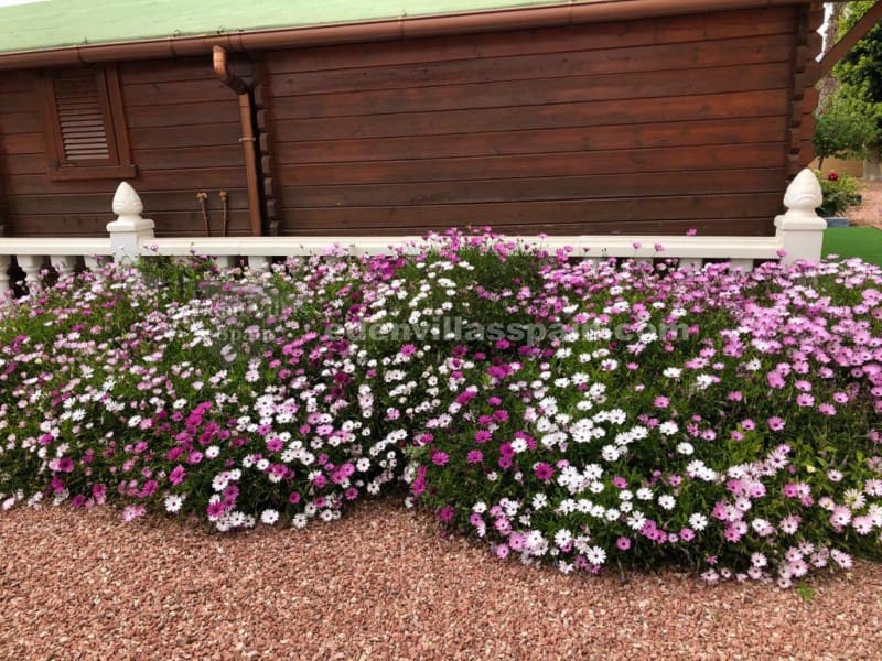 3 soverom Villa til salgs i Alicante by med svømmebasseng - € 375 000 (Ref: 9191877)