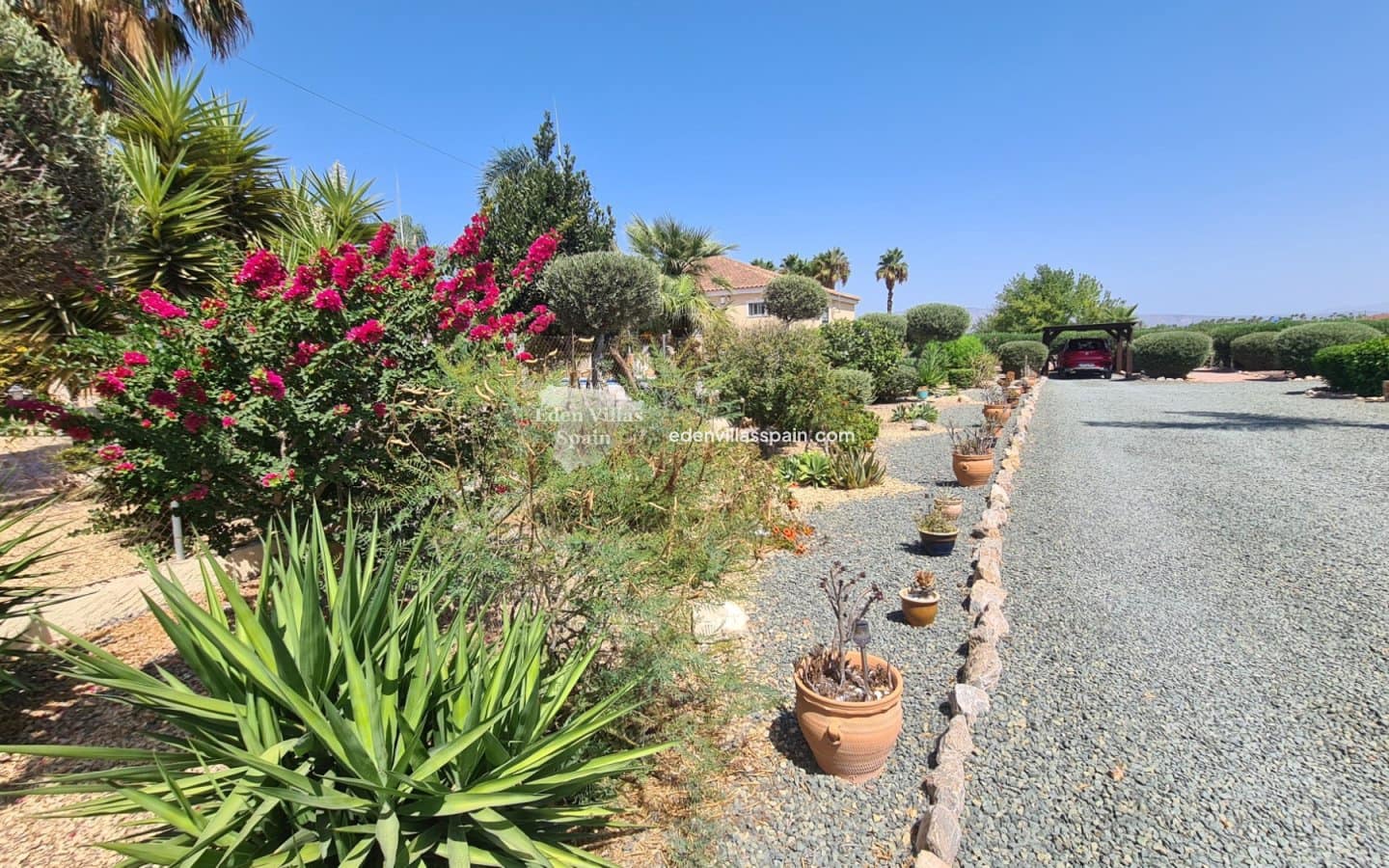 3 soveværelse Finca/Landehus til salg i Catral med swimmingpool - € 399.995 (Ref: 9203500)