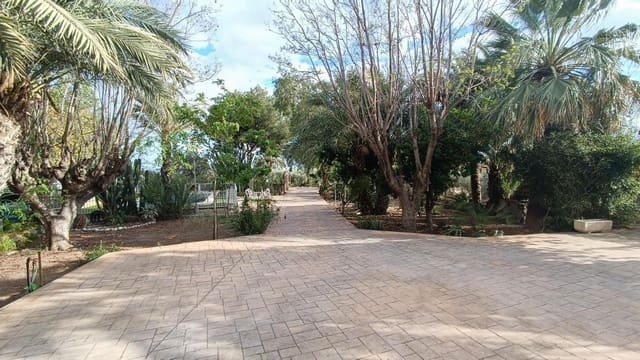 6 sypialnia Willa na sprzedaż w Elche / Elx z basenem - 399 000 € (Ref: 9219238)