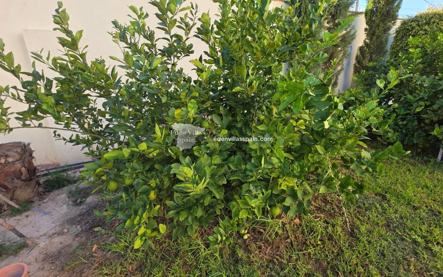 4 slaapkamer Villa te koop in Alicante stad met zwembad - € 389.000 (Ref: 9335566)