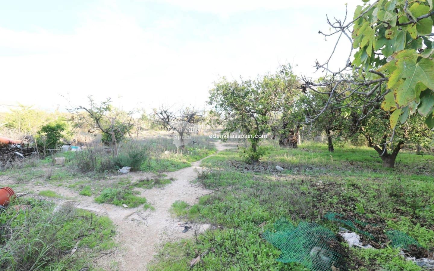 3 chambre Finca/Maison de Campagne à vendre à Elche / Elx - 275 000 € (Ref: 9354229)