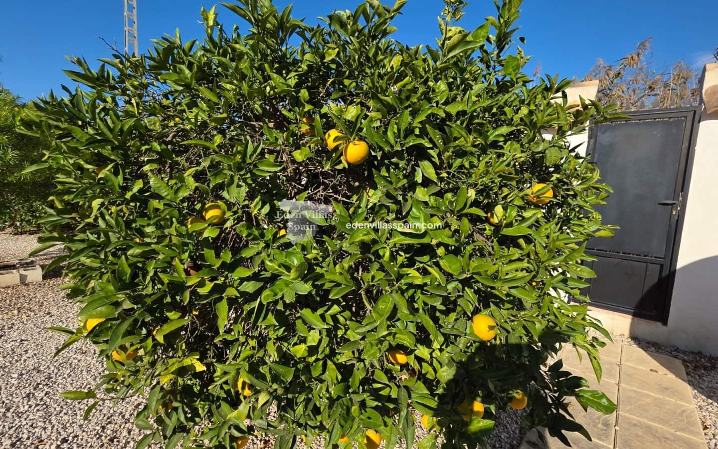 3 camera da letto Finca/Casa di Campagna in vendita in Catral - 299.950 € (Rif: 9432535)