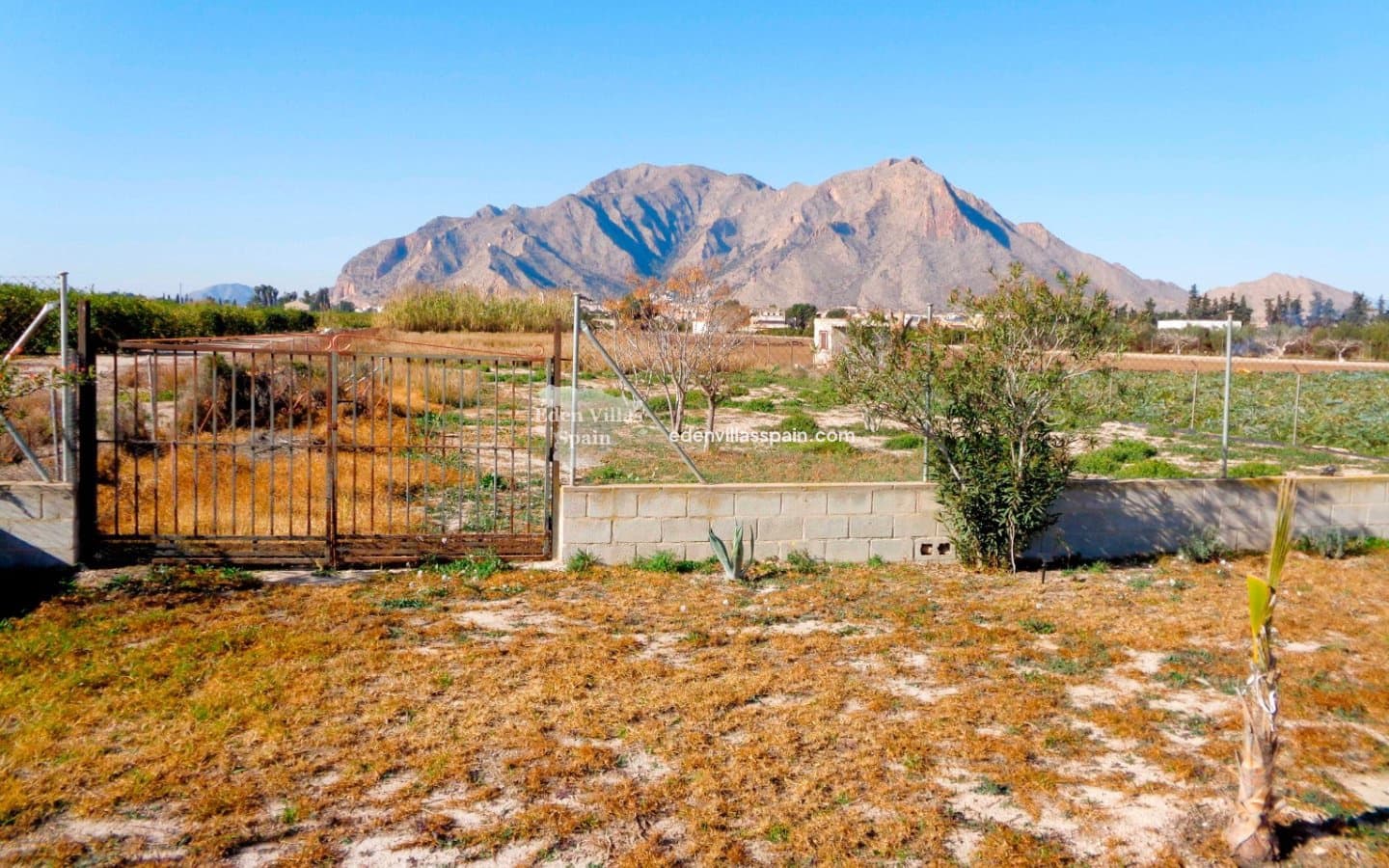 4 slaapkamer Finca/Landhuis te koop in Catral met zwembad - € 319.000 (Ref: 9502984)