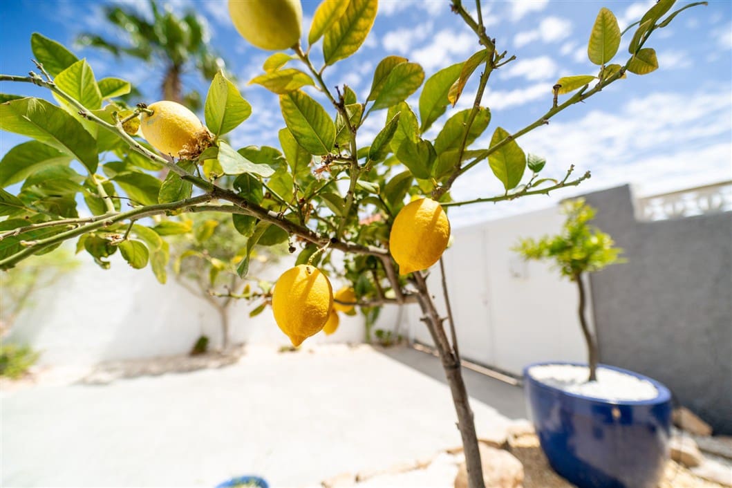 4 makuuhuone Huvila myytävänä paikassa Torrevieja mukana uima-altaan - 495 000 € (Ref: 9524761)