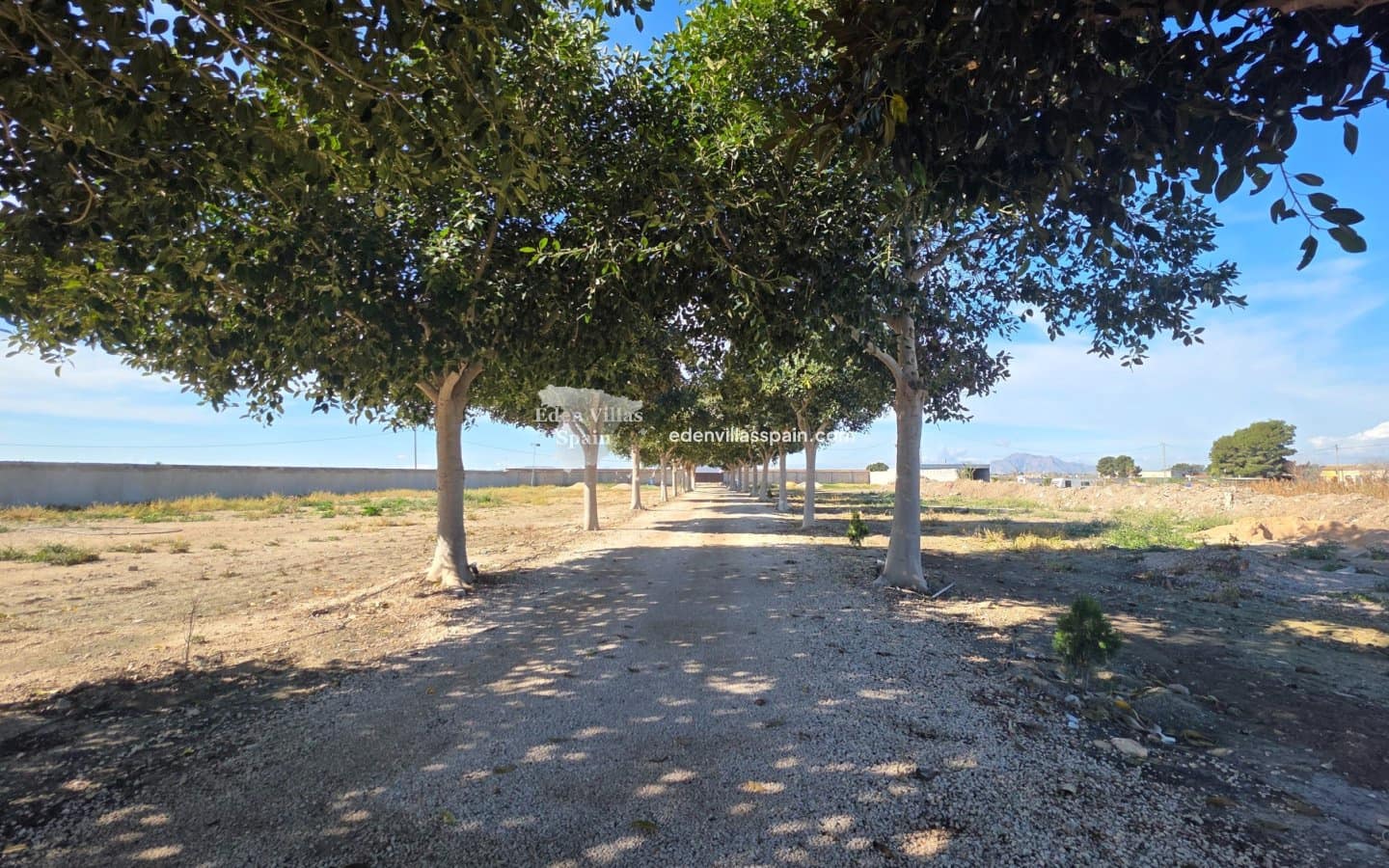 7 bedroom Villa for sale in San Fulgencio with pool - € 1,250,000 (Ref: 9669290)