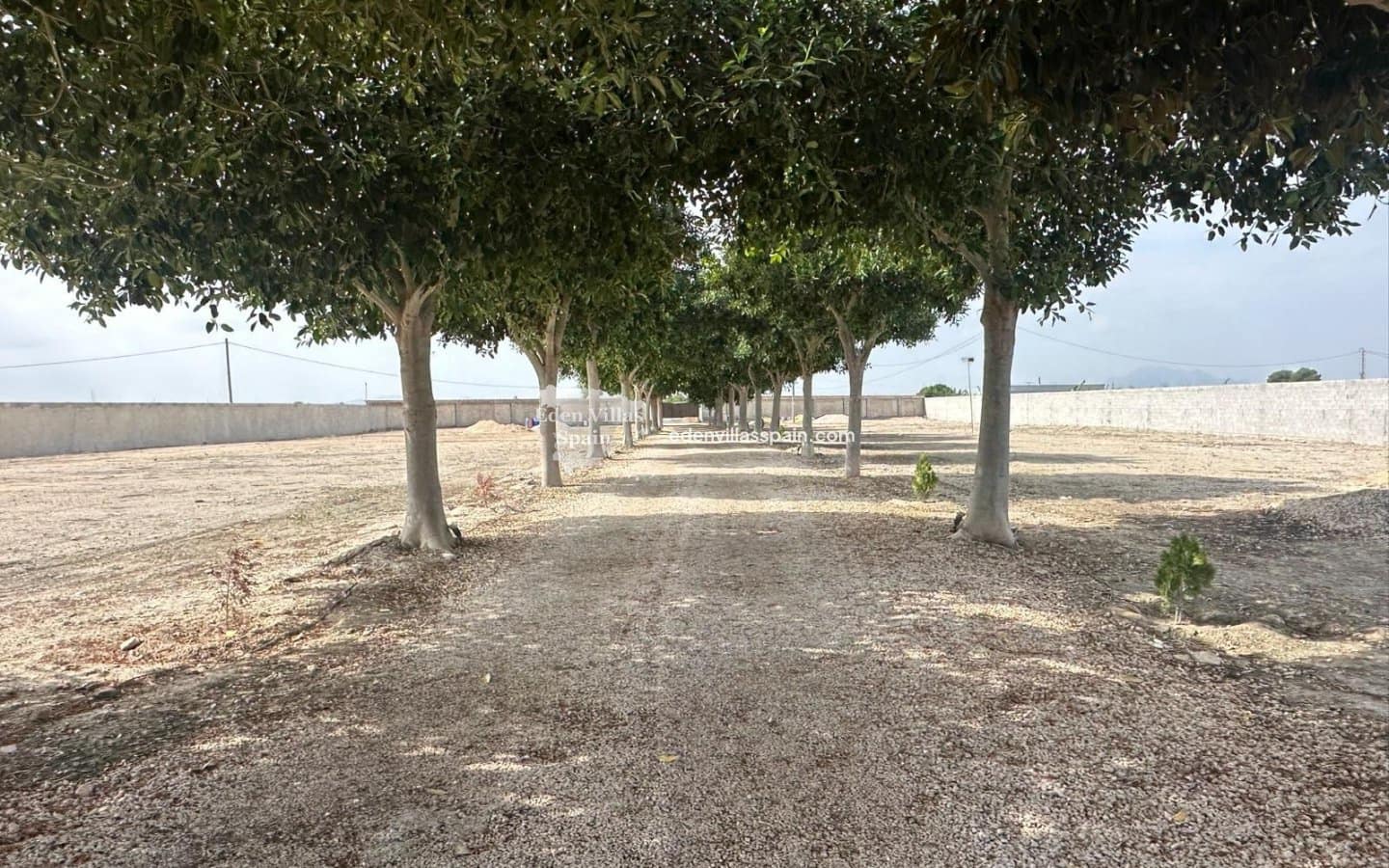 7 bedroom Villa for sale in Dolores with pool garage - € 1,250,000 (Ref: 9669291)