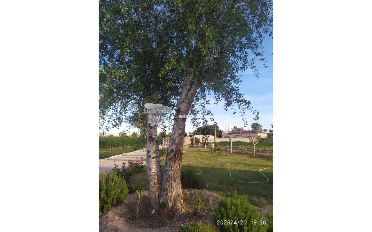 3 sypialnia Finka/Dom wiejski na sprzedaż w Catral - 239 950 € (Ref: 9789388)