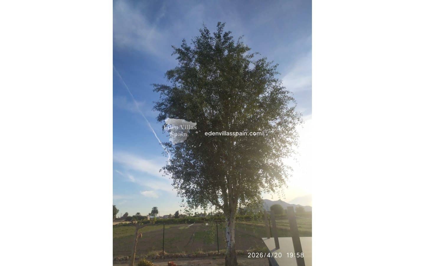 3 slaapkamer Finca/Landhuis te koop in Callosa de Segura - € 239.950 (Ref: 9789401)