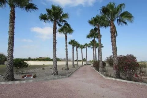 3 Zimmer Finca/Landgut zu verkaufen in Dolores mit Pool - 445.000 € (Ref: 9789841)