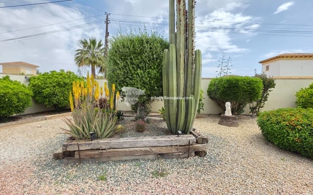 3 slaapkamer Finca/Landhuis te koop in Catral met zwembad garage - € 364.950 (Ref: 9802754)