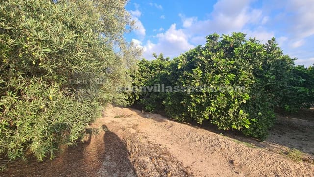3 soveværelse Finca/Landehus til salg i La Hoya, Elche / Elx med garage - € 280.000 (Ref: 9863626)