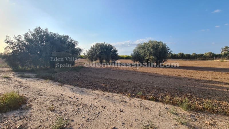 3 soveværelse Finca/Landehus til salg i La Marina med garage - € 280.000 (Ref: 9866175)