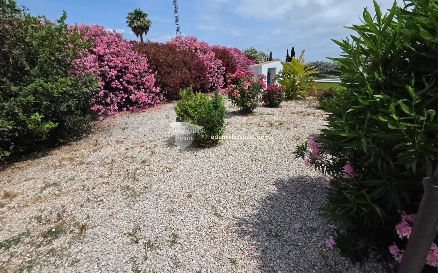 5 soverom Finca/Herregård til salgs i Benejuzar med svømmebasseng garasje - € 410 000 (Ref: 9885326)