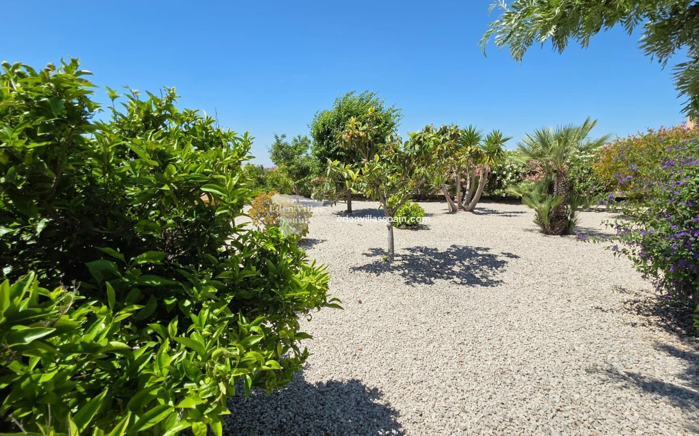 3 Zimmer Finca/Landgut zu verkaufen in Abanilla mit Pool Garage - 265.000 € (Ref: 9931122)