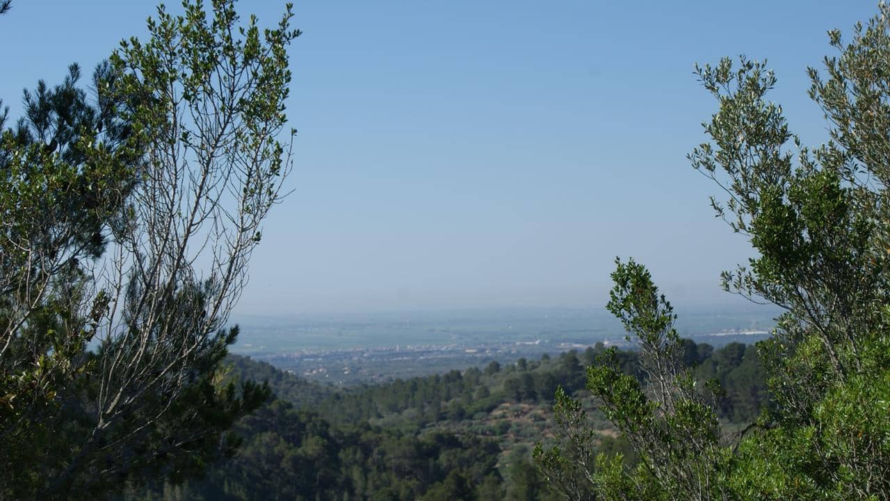 Finca/Landgut zu verkaufen in El Perello - 45.000 € (Ref: 4782964)