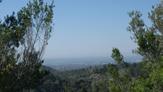 Finca/Herregård til salgs i El Perelló - € 45 000 (Ref: 4782964)