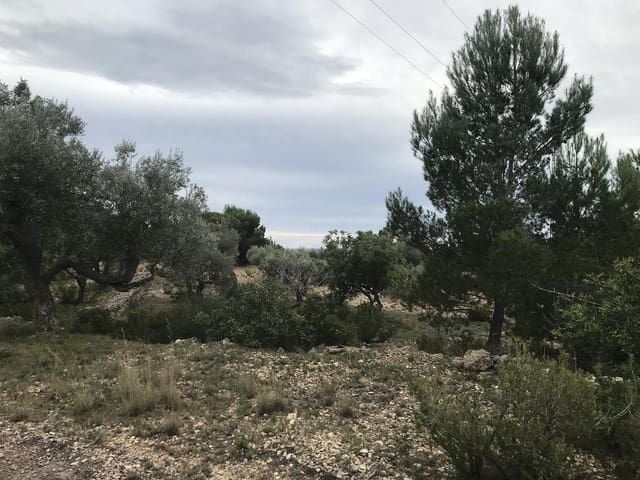 Undeveloped Land for sale in El Perelló - € 25,000 (Ref: 7292301)