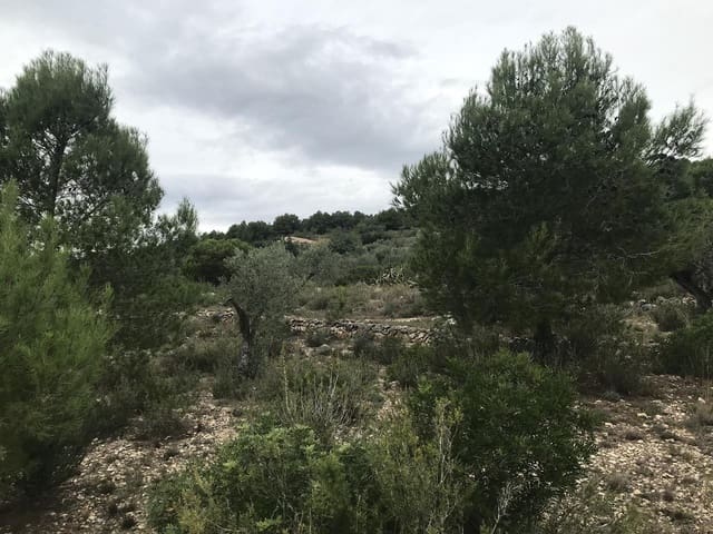 Undeveloped Land for sale in El Perelló - € 25,000 (Ref: 7292301)