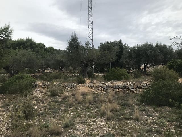 Undeveloped Land for sale in El Perelló - € 25,000 (Ref: 7292301)