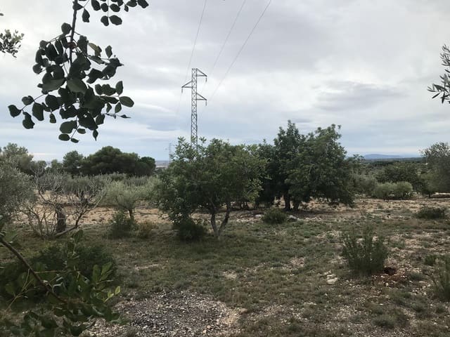 Undeveloped Land for sale in El Perelló - € 25,000 (Ref: 7292301)
