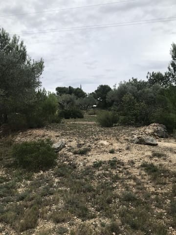 Undeveloped Land for sale in El Perelló - € 25,000 (Ref: 7292301)