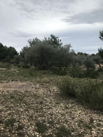 Undeveloped Land for sale in El Perelló - € 25,000 (Ref: 7292301)