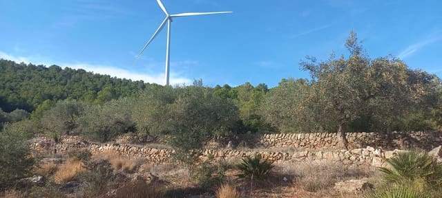 Finca/Herregård til salgs i El Perelló - € 35 000 (Ref: 7955242)