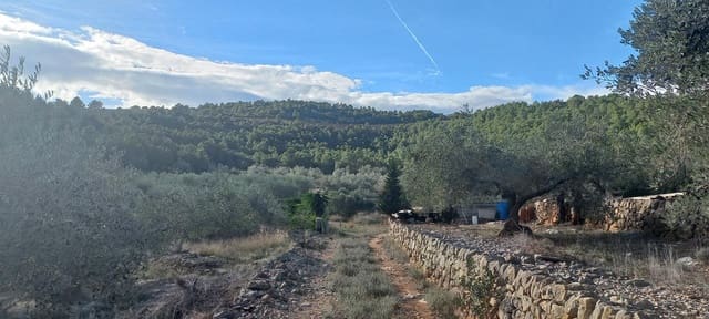Finca/Herregård til salgs i El Perelló - € 35 000 (Ref: 7955242)