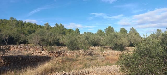 Finca/Herregård til salgs i El Perelló - € 35 000 (Ref: 7955242)