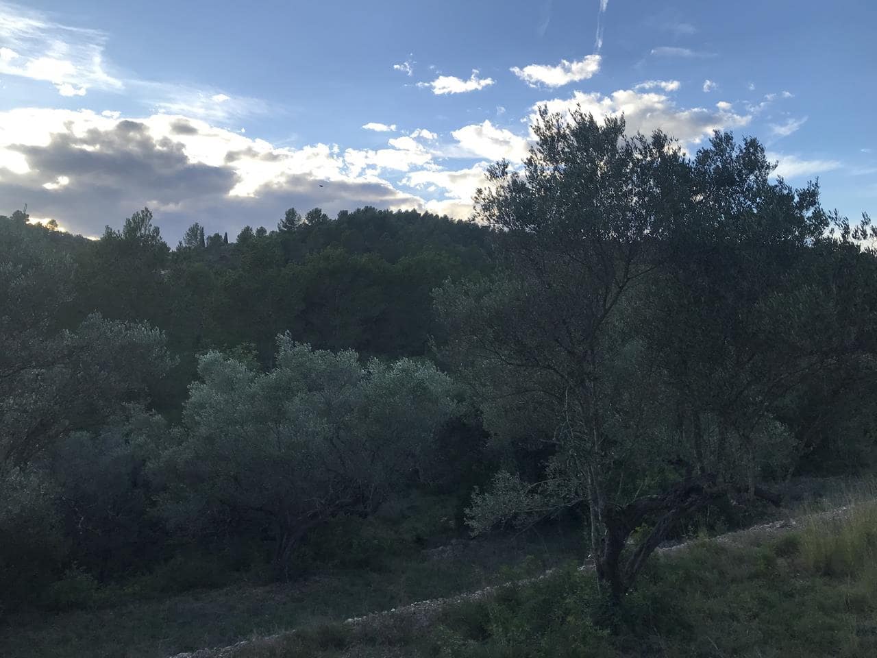 Finca/Herregård til salgs i El Perello - € 29 500 (Ref: 7956718)