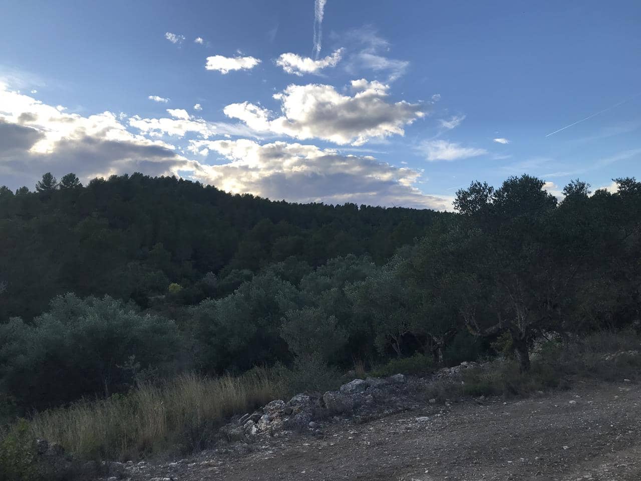 Finca/Herregård til salgs i El Perello - € 29 500 (Ref: 7956718)