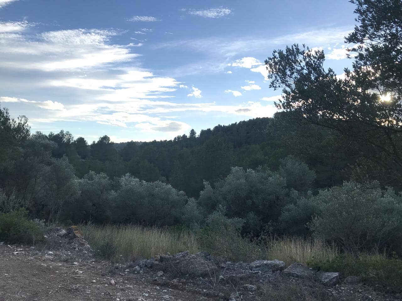 Finca/Herregård til salgs i El Perello - € 29 500 (Ref: 7956718)