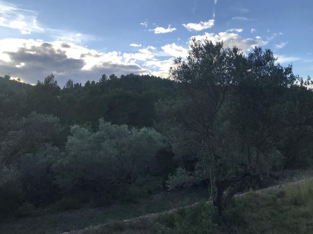 Finca/Herregård til salgs i El Perelló - € 29 500 (Ref: 7956718)