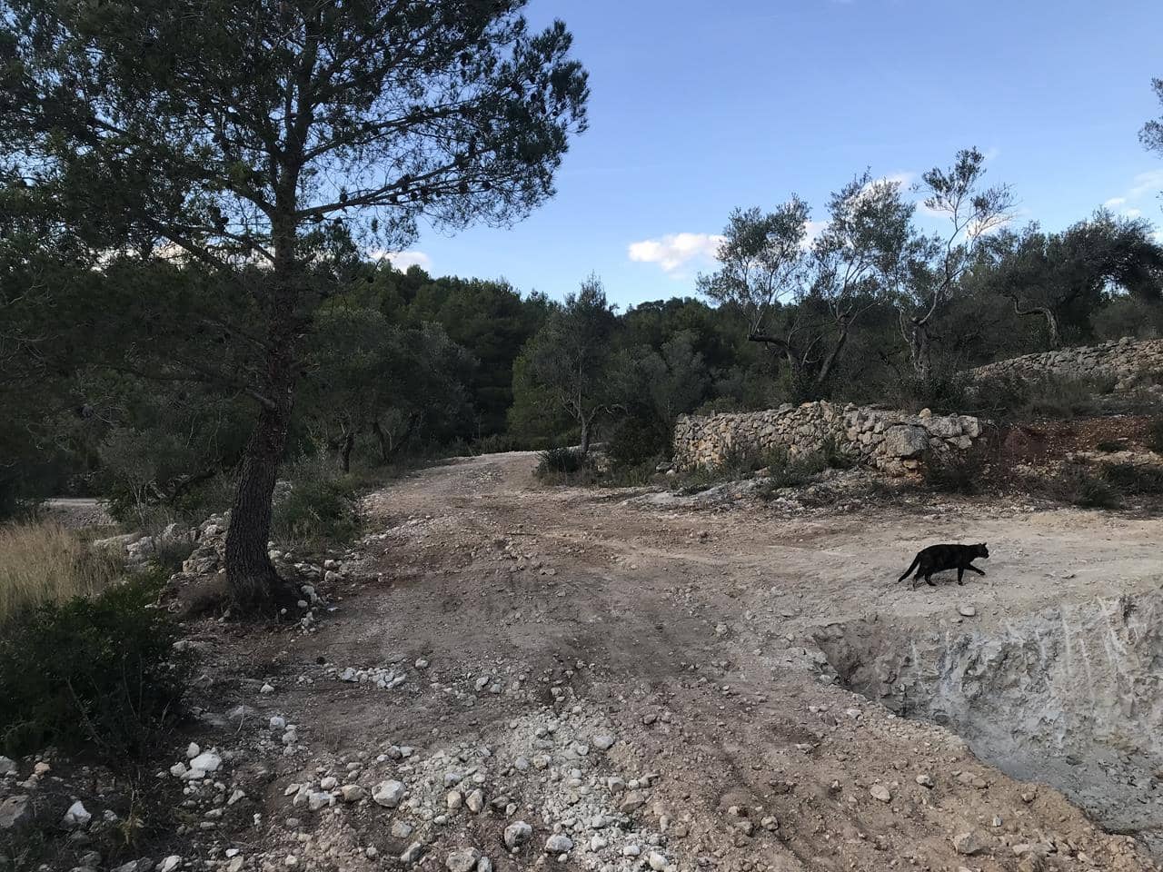 Finca/Herregård til salgs i El Perello - € 29 500 (Ref: 7956718)