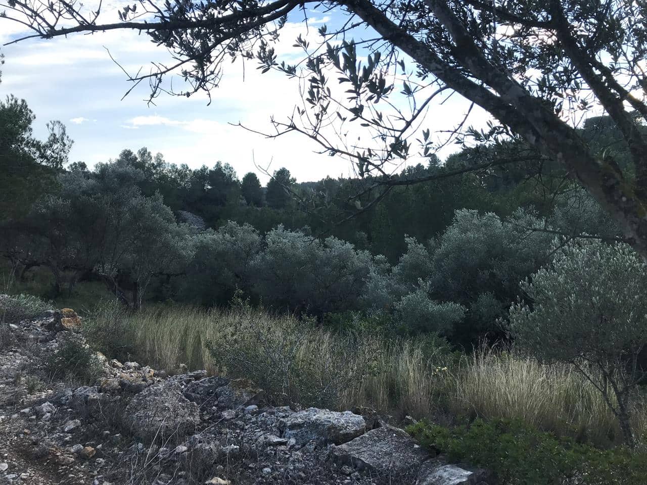 Finca/Herregård til salgs i El Perello - € 29 500 (Ref: 7956718)