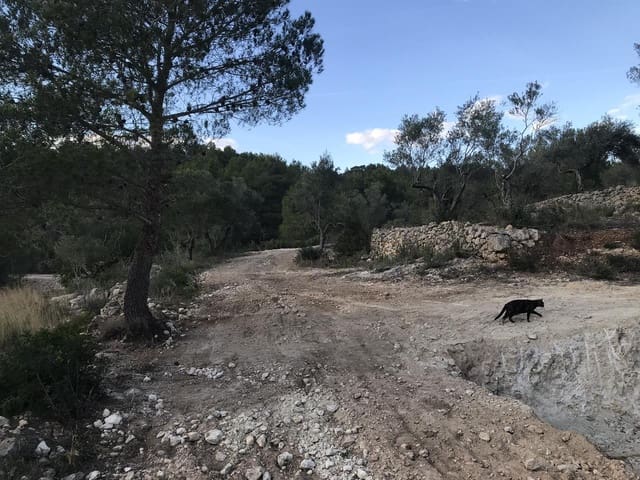 Finca/Herregård til salgs i El Perelló - € 29 500 (Ref: 7956718)