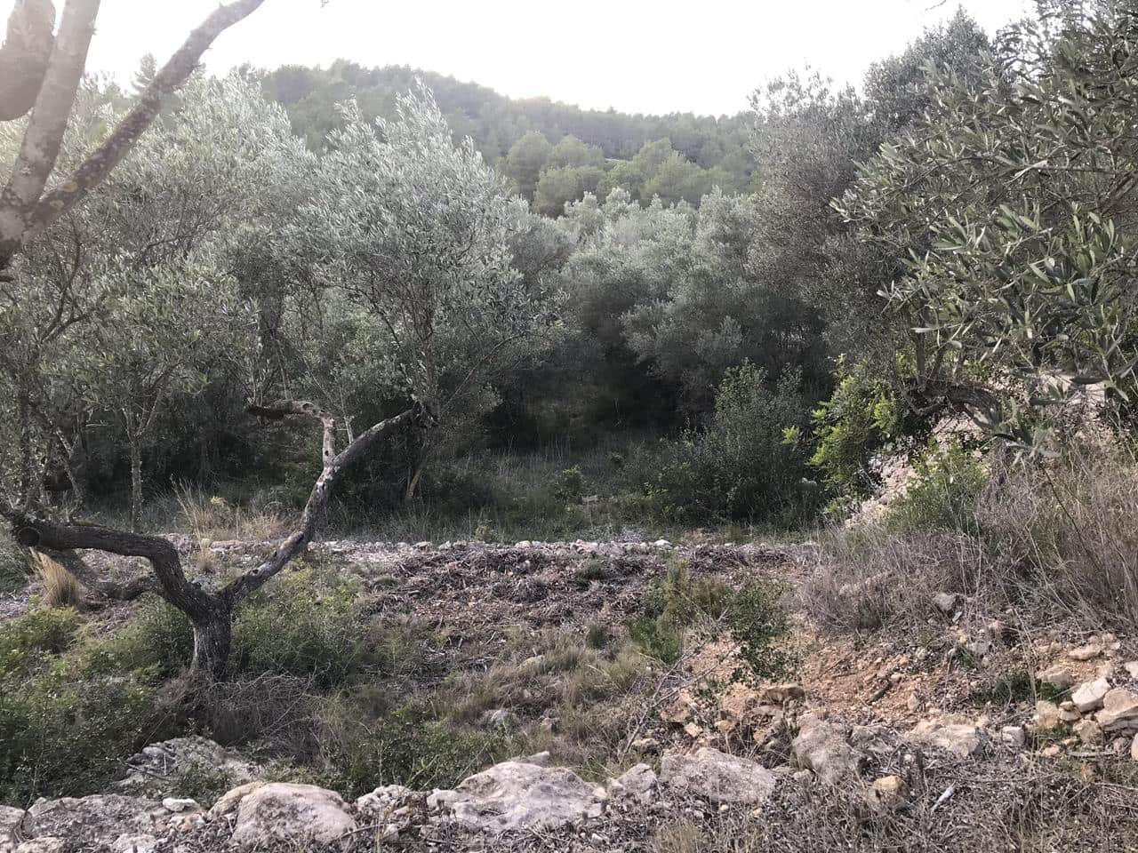 Finca/Herregård til salgs i El Perello - € 29 500 (Ref: 7956718)