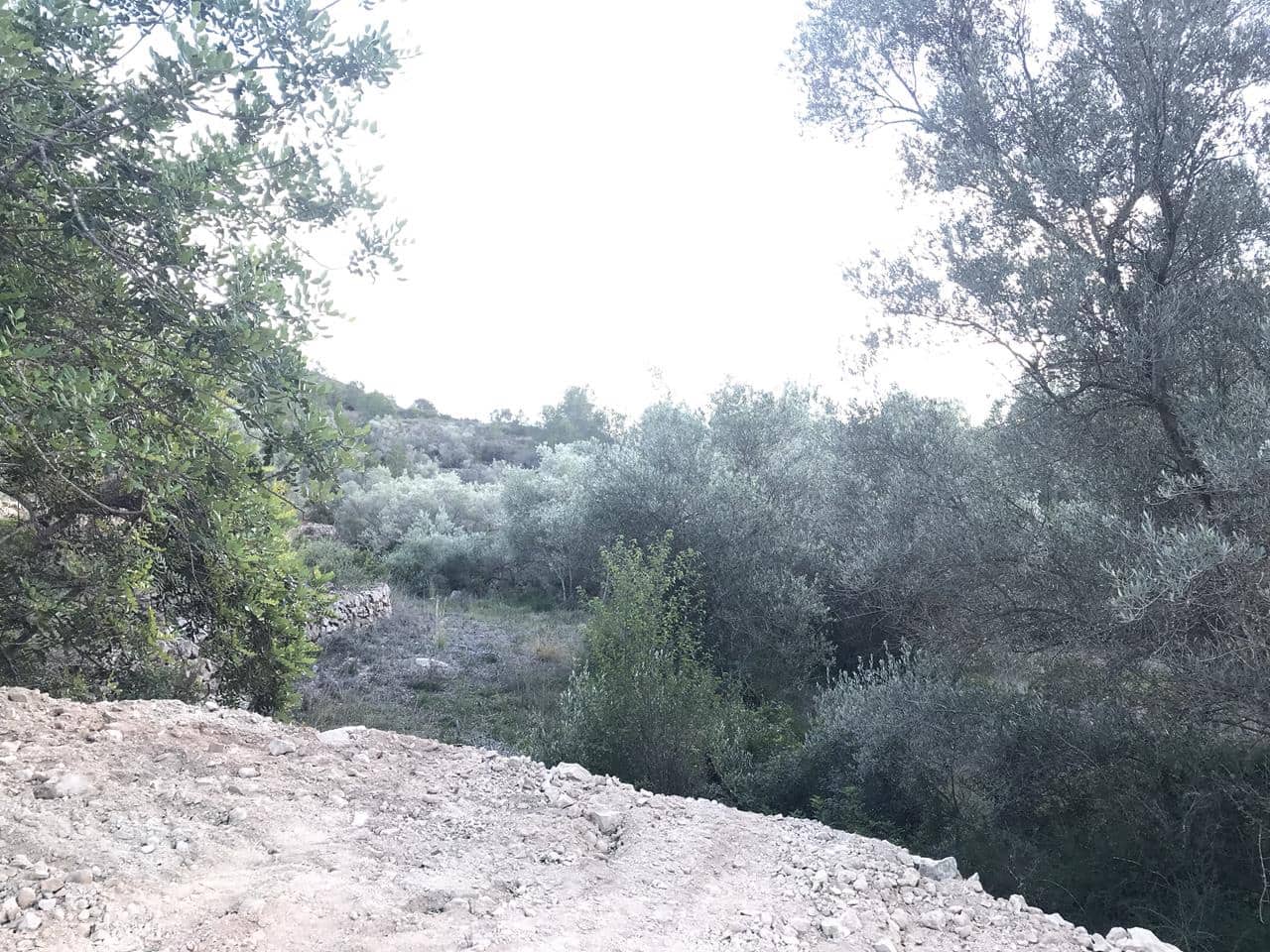 Finca/Herregård til salgs i El Perello - € 29 500 (Ref: 7956718)