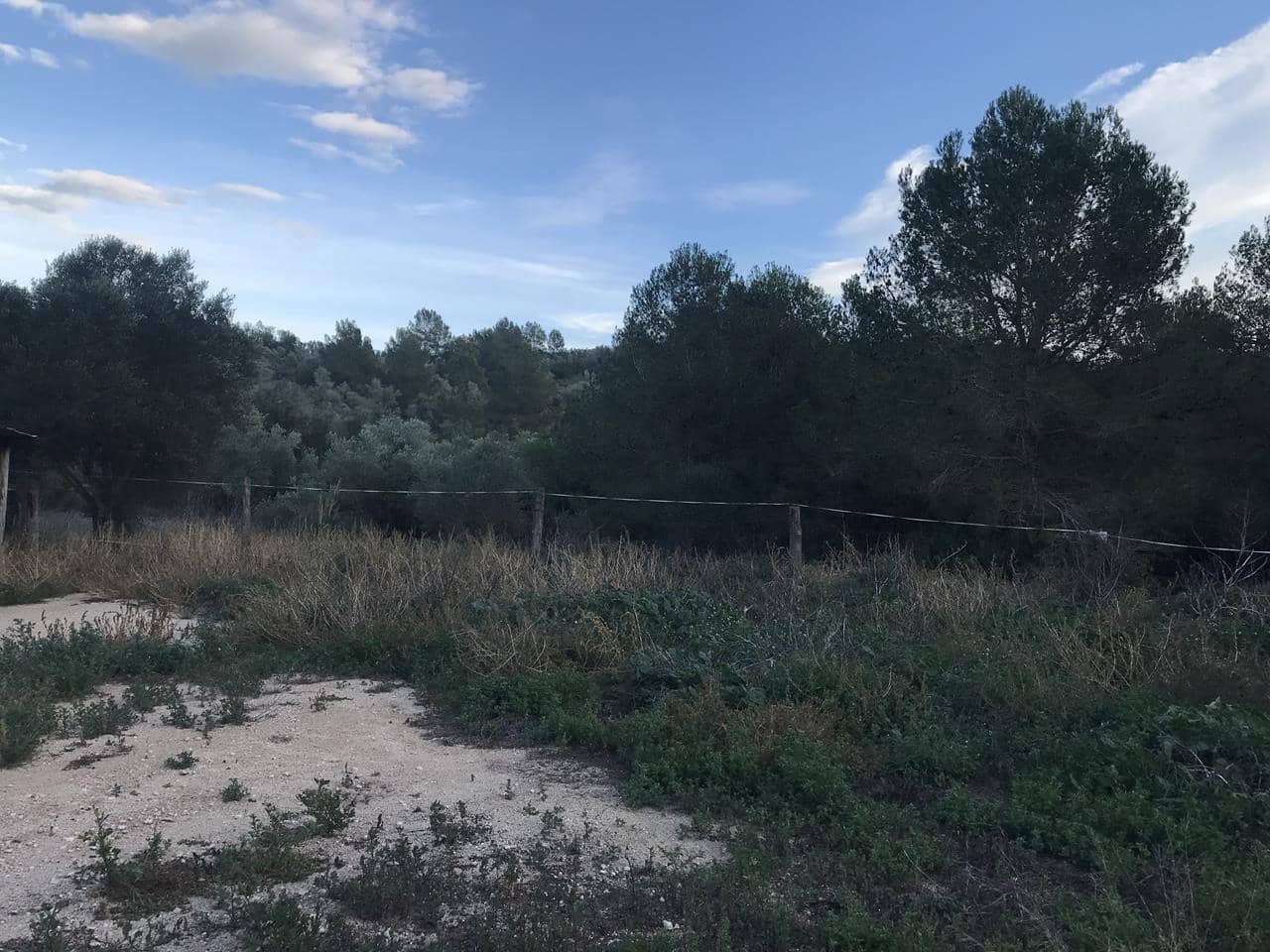 Finca/Herregård til salgs i El Perello - € 29 500 (Ref: 7956718)