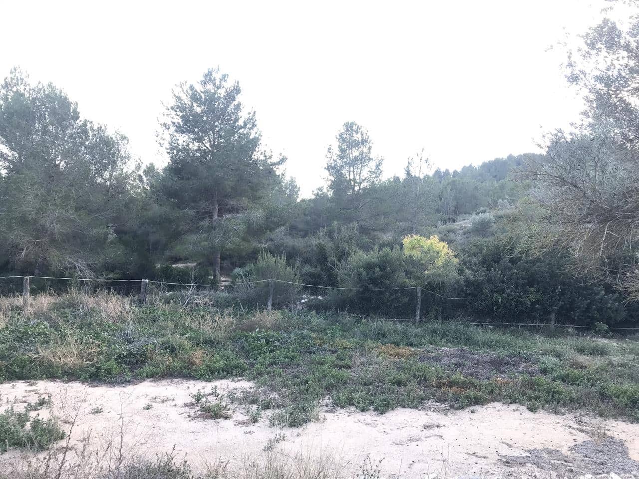 Finca/Herregård til salgs i El Perello - € 29 500 (Ref: 7956718)