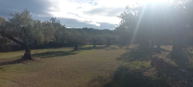 Undeveloped Land for sale in El Perelló - € 65,000 (Ref: 8802532)